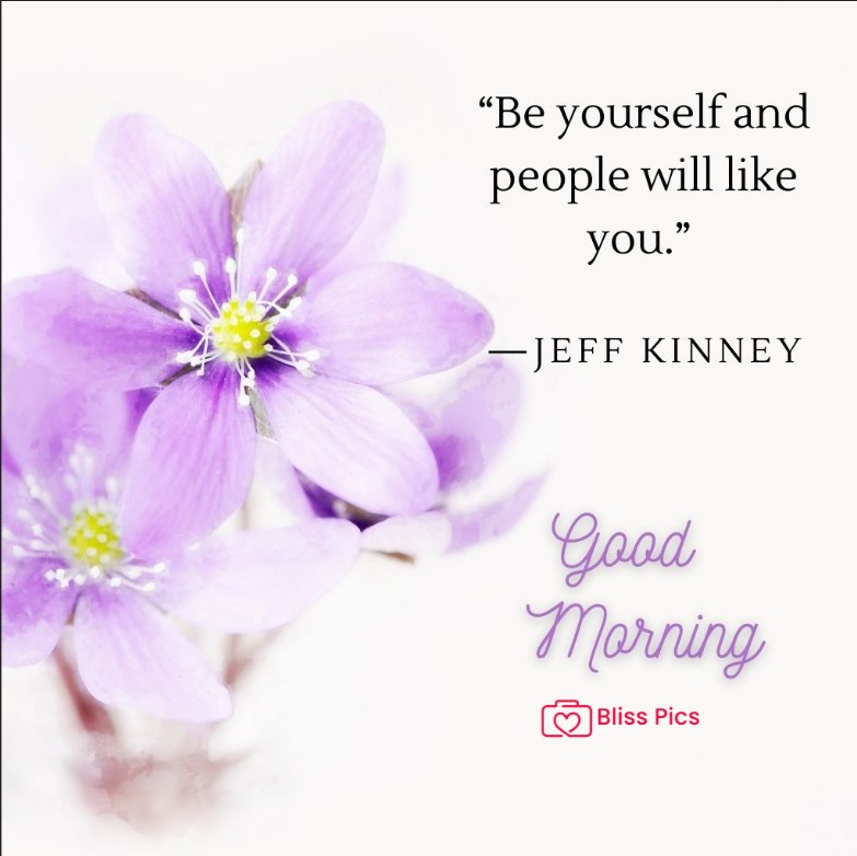 Gm Flower Image 1 Gm Flower Image 1 - Good Morning Flower Images