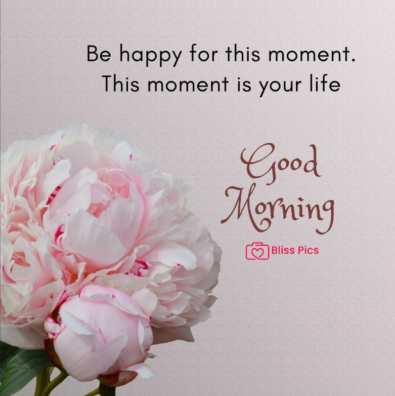 Gm Flower Image 21 Gm Flower Image 21 - Good Morning Flower Images