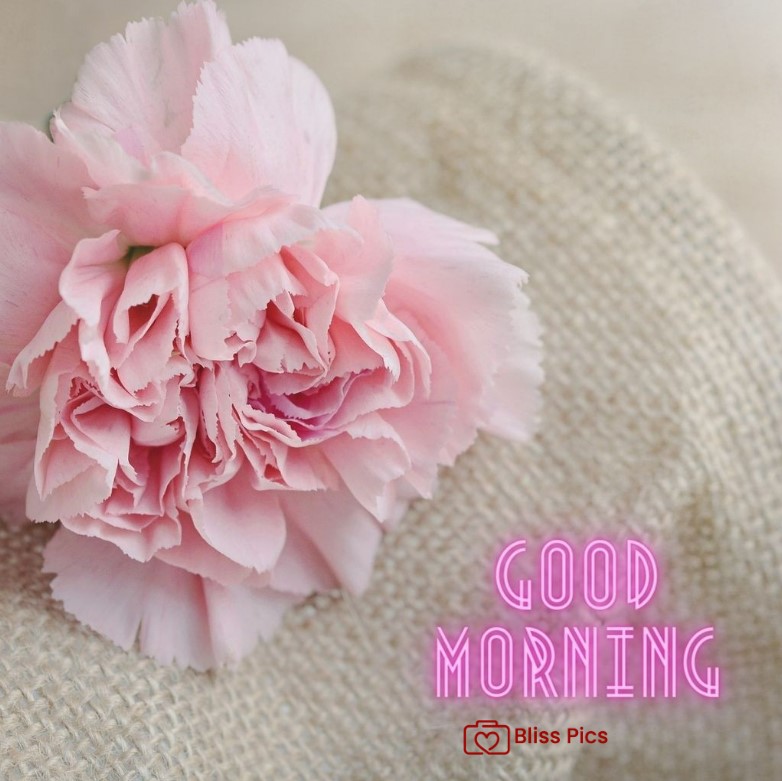 Gm Flower Image 25 Gm Flower Image 25 - Good Morning Flower Images
