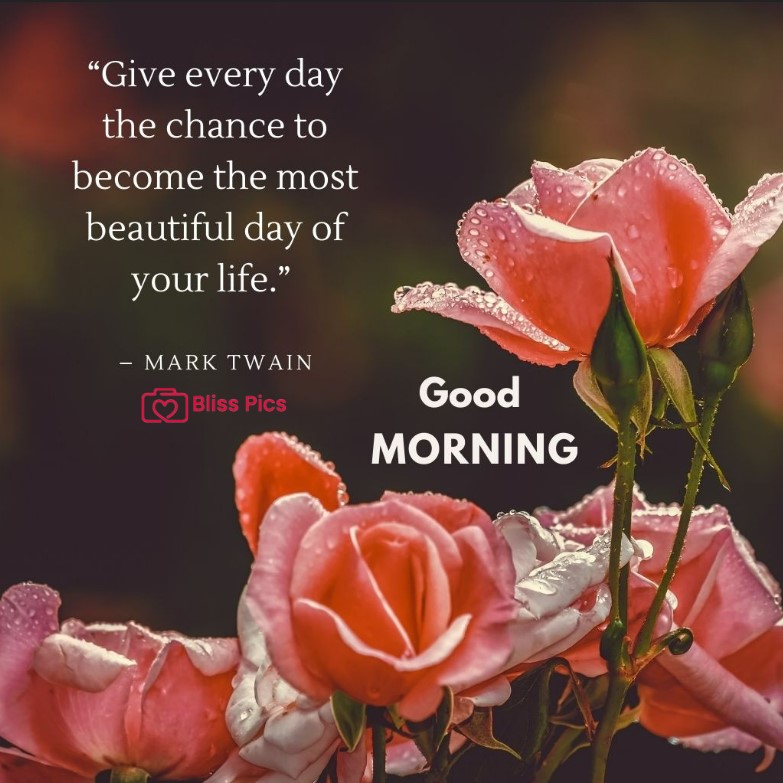 Gm Flower Image 6 Gm Flower Image 6 - Good Morning Flower Images