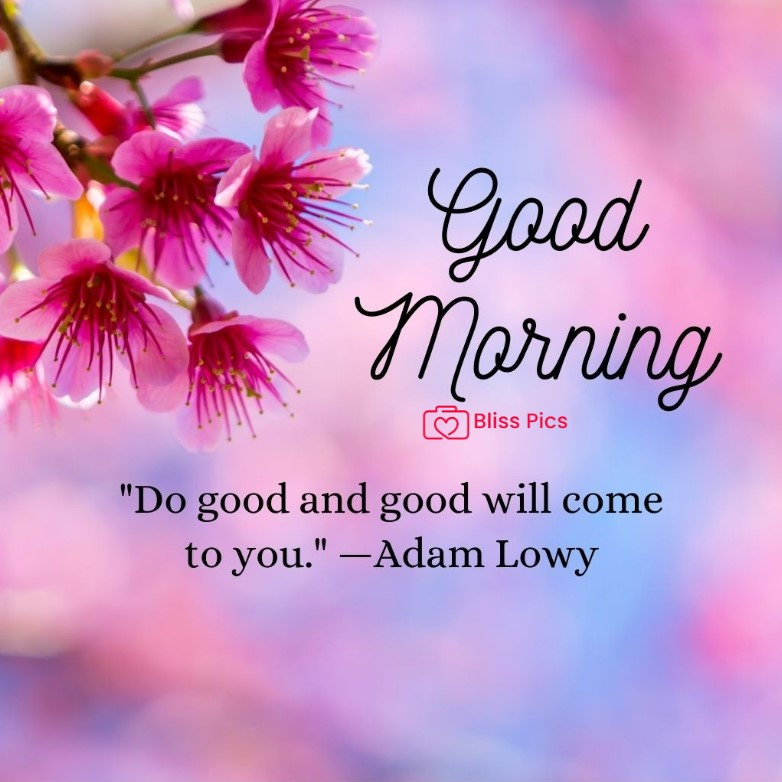 Gm Flower Image 65 Gm Flower Image 65 - Good Morning Flower Images