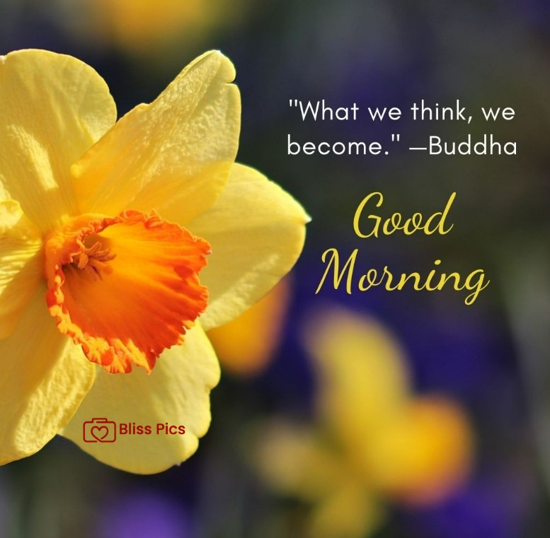 Gm Flower Image 67 Gm Flower Image 67 - Good Morning Flower Images