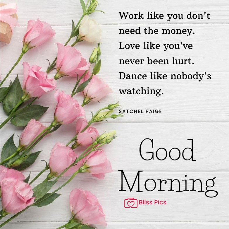 Gm Flower Image 7 Gm Flower Image 7 - Good Morning Flower Images