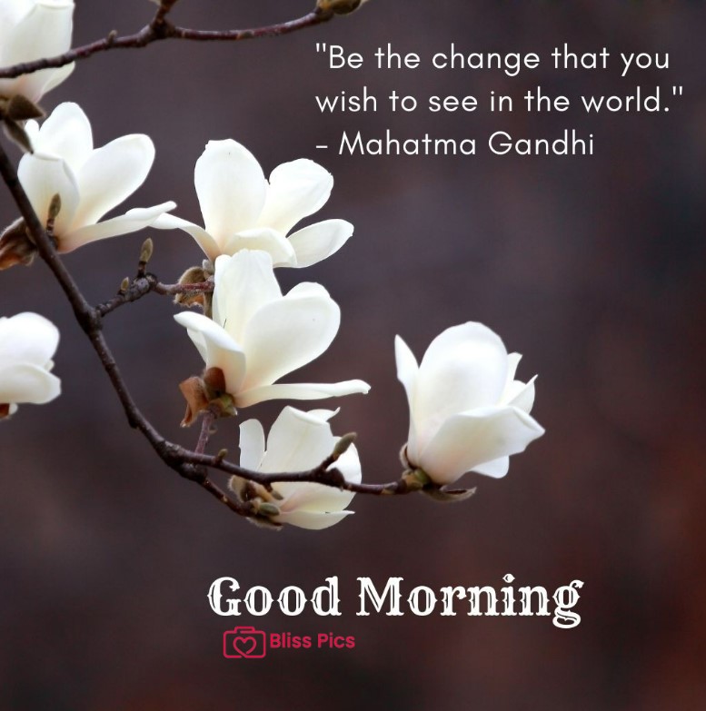 Gm Flower Image 73 Gm Flower Image 73 - Good Morning Flower Images