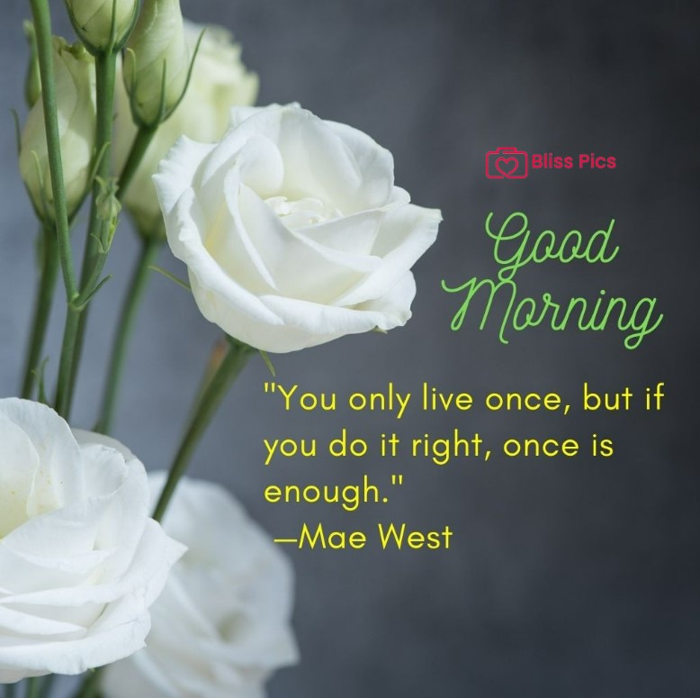 Gm Flower Image 74 Gm Flower Image 74 - Good Morning Flower Images