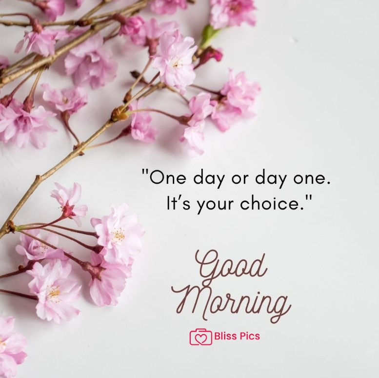 Gm Flower Image 75 Gm Flower Image 75 - Good Morning Flower Images