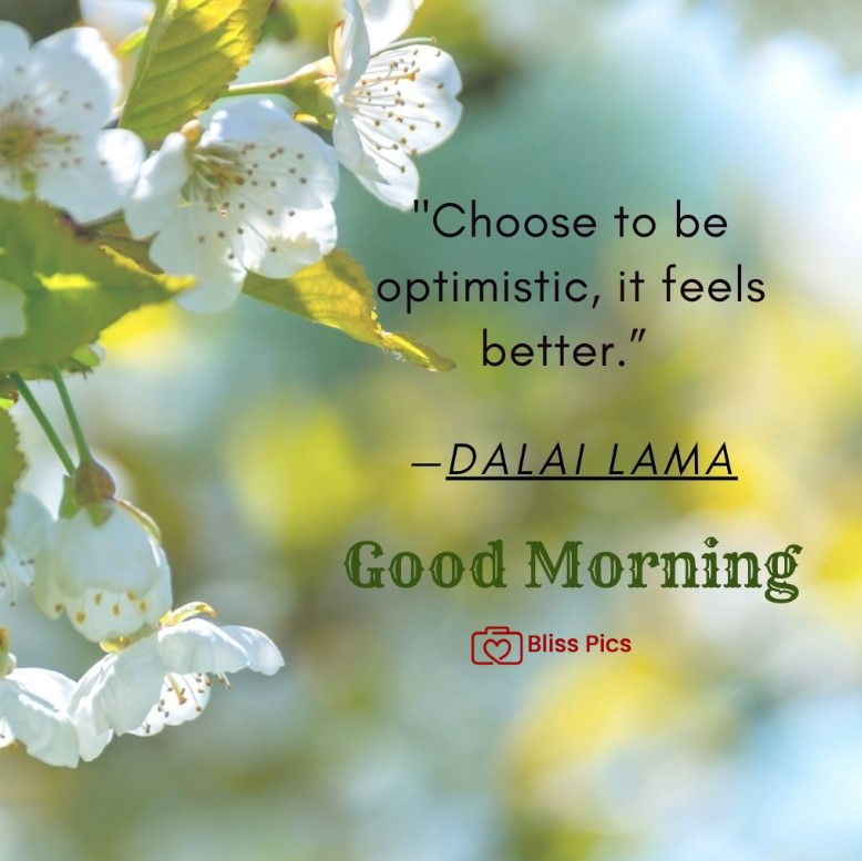 Gm Flower Image 80 Gm Flower Image 80 - Good Morning Flower Images