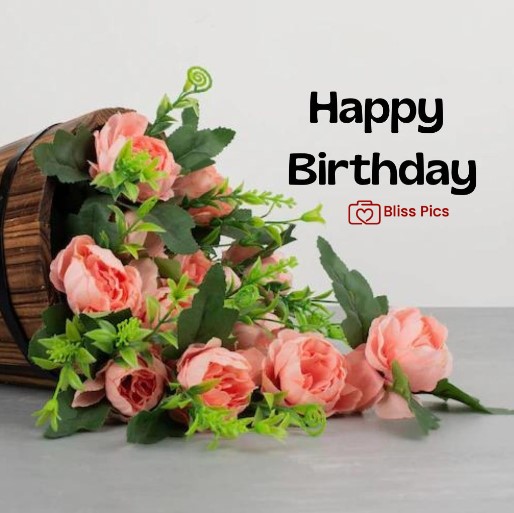 29 29 - happy birthday images