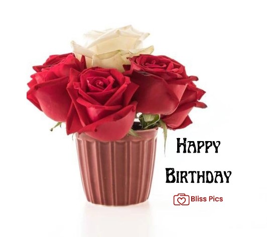 3 3 - happy birthday images
