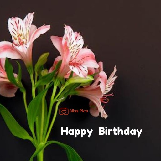 31 31 - happy birthday images