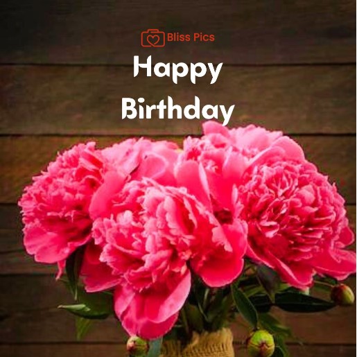 56 56 - happy birthday images