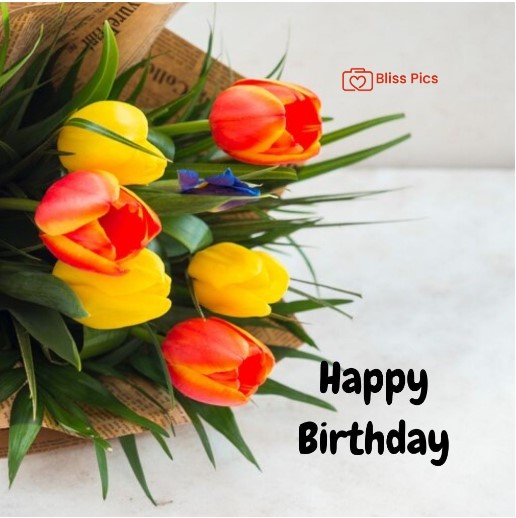 57 57 - happy birthday images