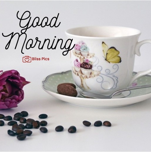 beatiful white cup and saucer with floral design and flower beatiful white cup and saucer with floral design and flower - good morning images with coffee