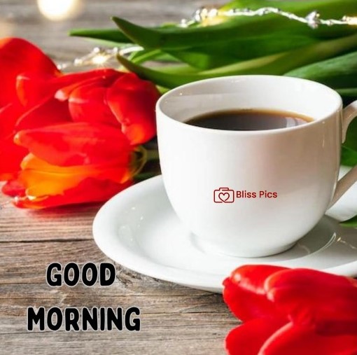 black coffee in white cup and saucer with red tulips on wooden table black coffee in white cup and saucer with red tulips on wooden table - good morning images with coffee