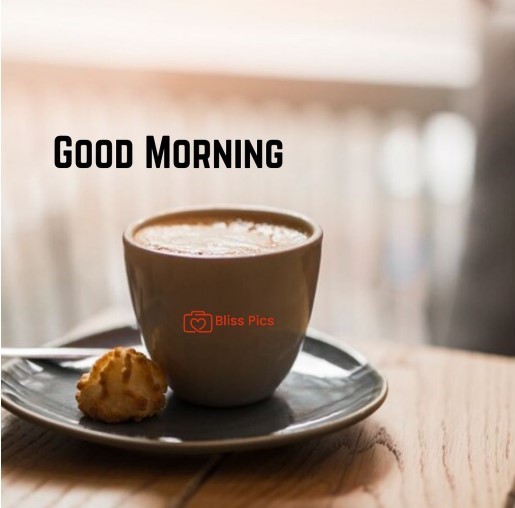 morning sunlight with coffee cup with a cookie in saucer morning sunlight with coffee cup with a cookie in saucer - good morning images with coffee