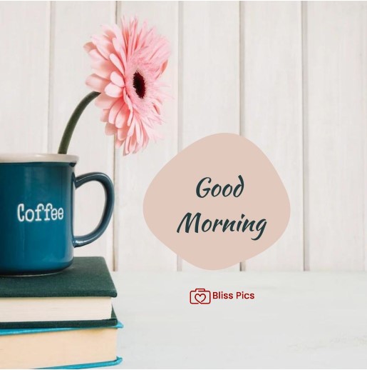 pink gerbera and books and blue cup with coffee written on it pink gerbera and books and blue cup with coffee written on it - good morning images with coffee