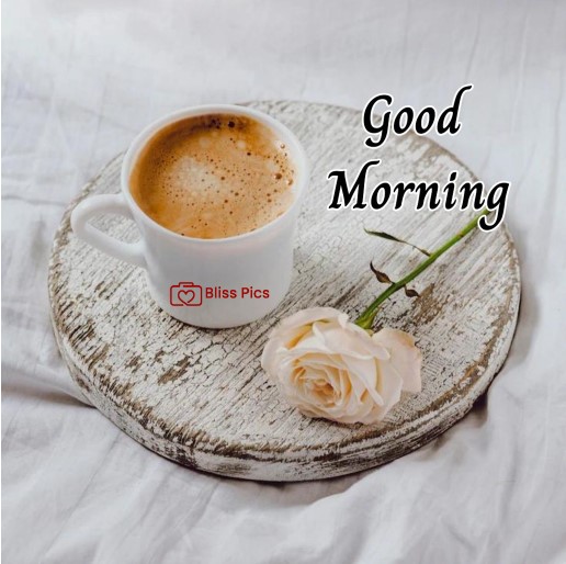 strong coffee placed on circular tray with white rose strong coffee placed on circular tray with white rose - good morning images with coffee